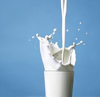 Беларусь в 2010 году готова увеличить поставки в Россию молочной продукции на 20%