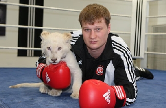 Сергей Гулякевич может получить право бороться за титул чемпиона мира по профессиональному боксу