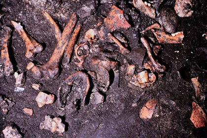 Ученые объяснили срезание мяса с костей трупов у древних италийцев