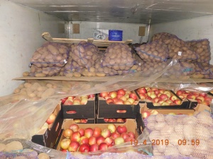 Россия обвинила Беларусь в незаконных поставках яблок