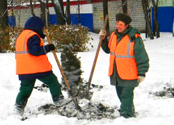 «Минскзеленстрой» зимой сажает деревья