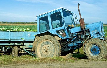 Сельское хозяйство Беларуси показало рекордные долги