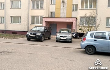 Беларус с помощью кошки пытался отучить соседа парковаться под окнами