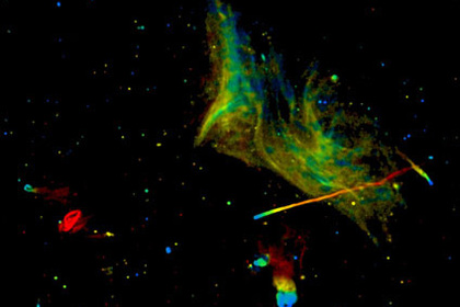 Астрофизики показали столкновение двух половин скопления галактик