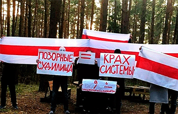 Партизаны Бреста и Боровлян вышли на акции протеста
