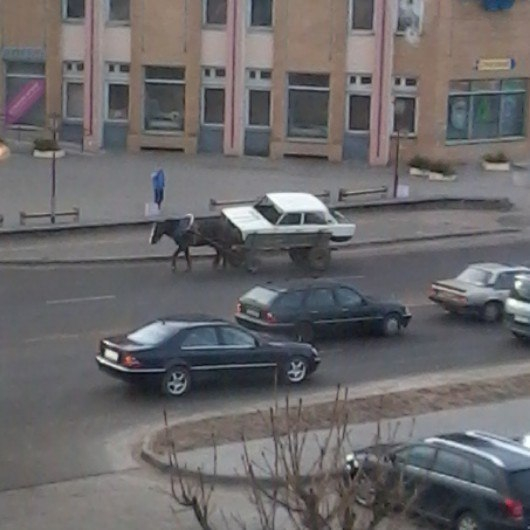 Лошадь возила по Логойску старые «Жигули»