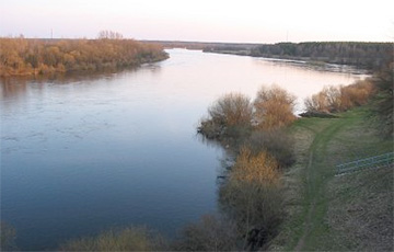 Беларусь подтапливает: уровень воды в водоемах продолжит расти