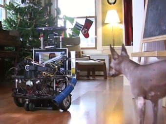 Инженер Microsoft построил робота для игры с собакой