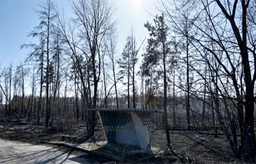 Спустя 10 дней пожар в зоне отчуждения ЧАЭС удалось потушить
