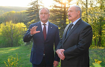 «Другу Лукашенко» грозит до 20 лет тюрьмы