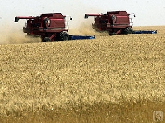 Беларусь и Россия одобрили концепцию единой аграрной политики