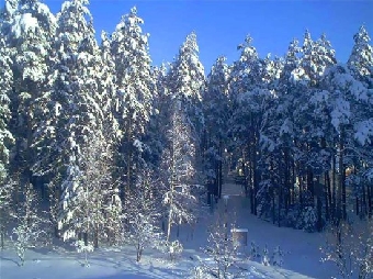 Минский Дед Мороз сегодня прибудет в свою резиденцию в парке Горького на лыжах