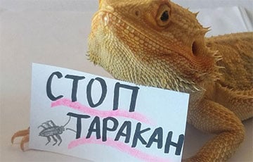 «Стоп таракан!»: белорусы напомнили о главных протестных лозунгах