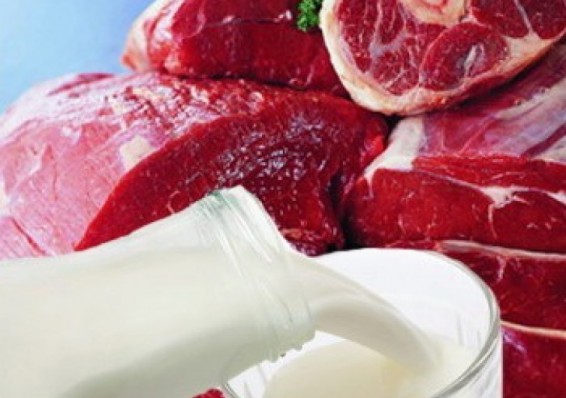 Белорусским производителям мясо-молочной продукции требуются новые рынки сбыта