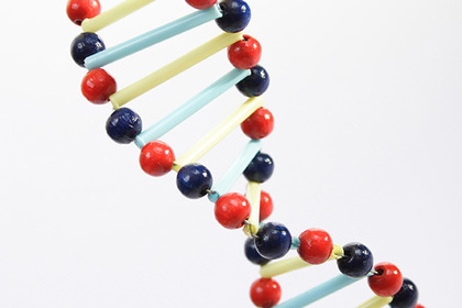 Ученые расшифруют ДНК всей жизни на Земле