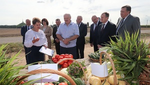 Лукашенко: уборочная кампания - уже не «битва за урожай»