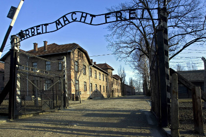 В ФРГ 91-летнюю женщину привлекли к ответственности за службу в Освенциме
