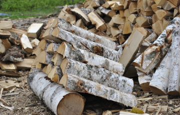 В Минске подняли цены на дрова, уголь и брикет