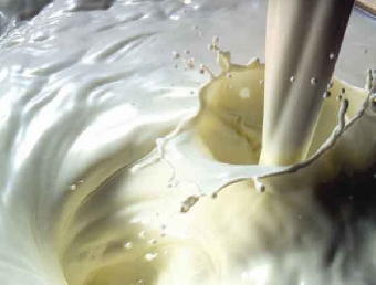 Рентабельность экспорта в РФ некоторых видов белорусской молочной продукции в 2010 году достигла 60%