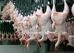 Россия «завернула» еще 17 тонн белорусского мяса