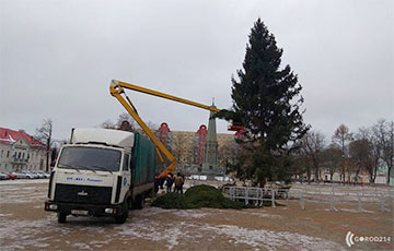 Жителей Полоцка повеселила елка в центре города