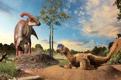 Динозавров заподозрили в строительстве «птичьих» гнезд