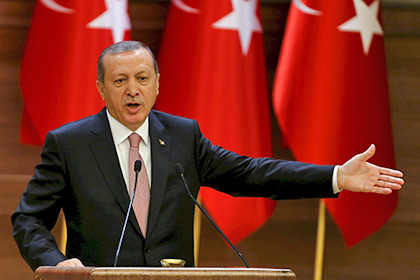 Эрдоган присвоил себе инициативу заморозить «Турецкий поток»