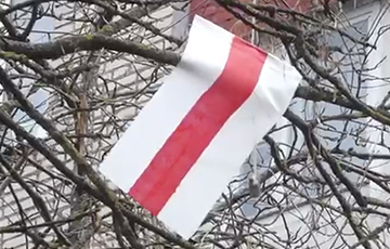 «С самого утра в нашем микрорайоне появились десятки бело-красно-белых флагов»