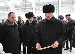 Вместо премии - елка для Лукашенко