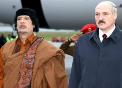 Глава МИД Польши напомнил Лукашенко о «ливийских уроках»
