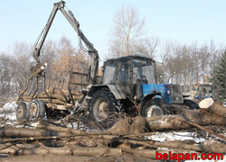 Защитники парка 40-летия Октября подали в суд на минские власти