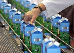 Минсельхозпрод: В Беларуси проблемы с производством молока