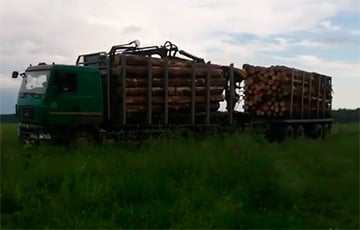 Жители одной из деревень Костюковичского района заблокировали дорогу лесовозу