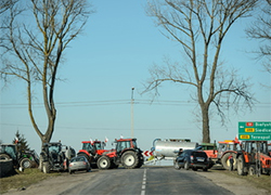 Польские фермеры заблокировали дорогу в Беларусь