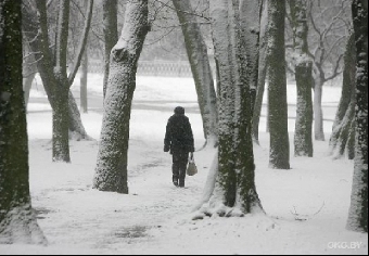 Неустойчивая погода ожидается на выходных в Беларуси