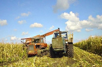 Чистая прибыль сельхозорганизаций Беларуси в январе-мае возросла почти в 1,5 раза