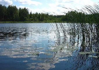 Вода в озерах и реках Беларуси прогрелась до 27 градусов