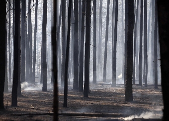 Третий класс пожароопасности сохраняется в восточной части Беларуси