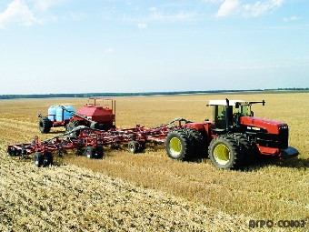 В Беларуси поставки продовольствия в стабфонды на 2011-2012 годы будут увеличены на 12-14%