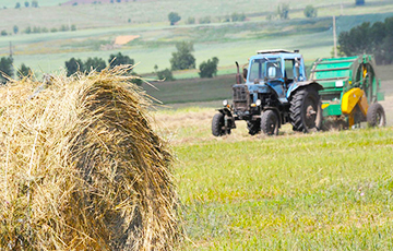 Реальность белорусских сельхозпредприятий: приписки и дефицит кадров