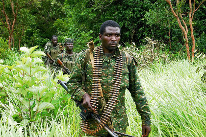Военные убили более 40 боевиков в Уганде