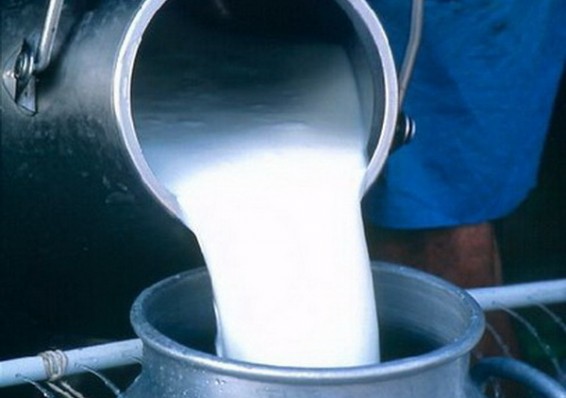 Россельхознадзор может запретить поставки с молочных заводов Беларуси