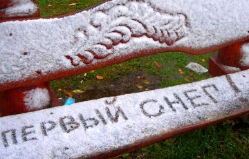 На севере Беларуси выпал первый снег