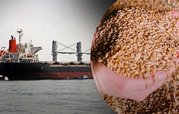 Московиты пытались продать в Египет украденное украинское зерно