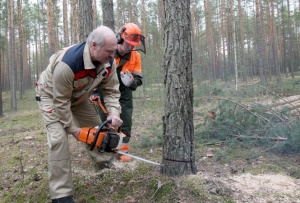 Железной рукой: Лукашенко потребовал навести порядок в охране природы