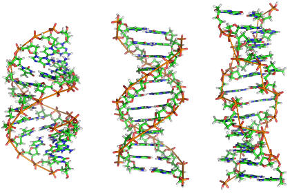 Ученые впервые синтезировали ДНК с тремя парами оснований
