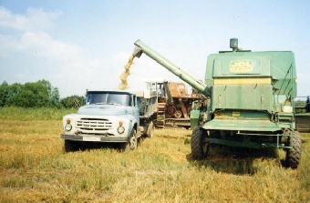 Урожайность зерновых практически во всех районах Гомельской области выше прошлогодней