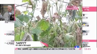 Беларусь вслед за Россией отменила запрет на транзит овощной продукции из ЕС