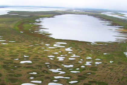 Арктические озера спасли Землю от глобального потепления