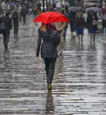 Дожди и грозы прогнозируются в Беларуси на текущей неделе